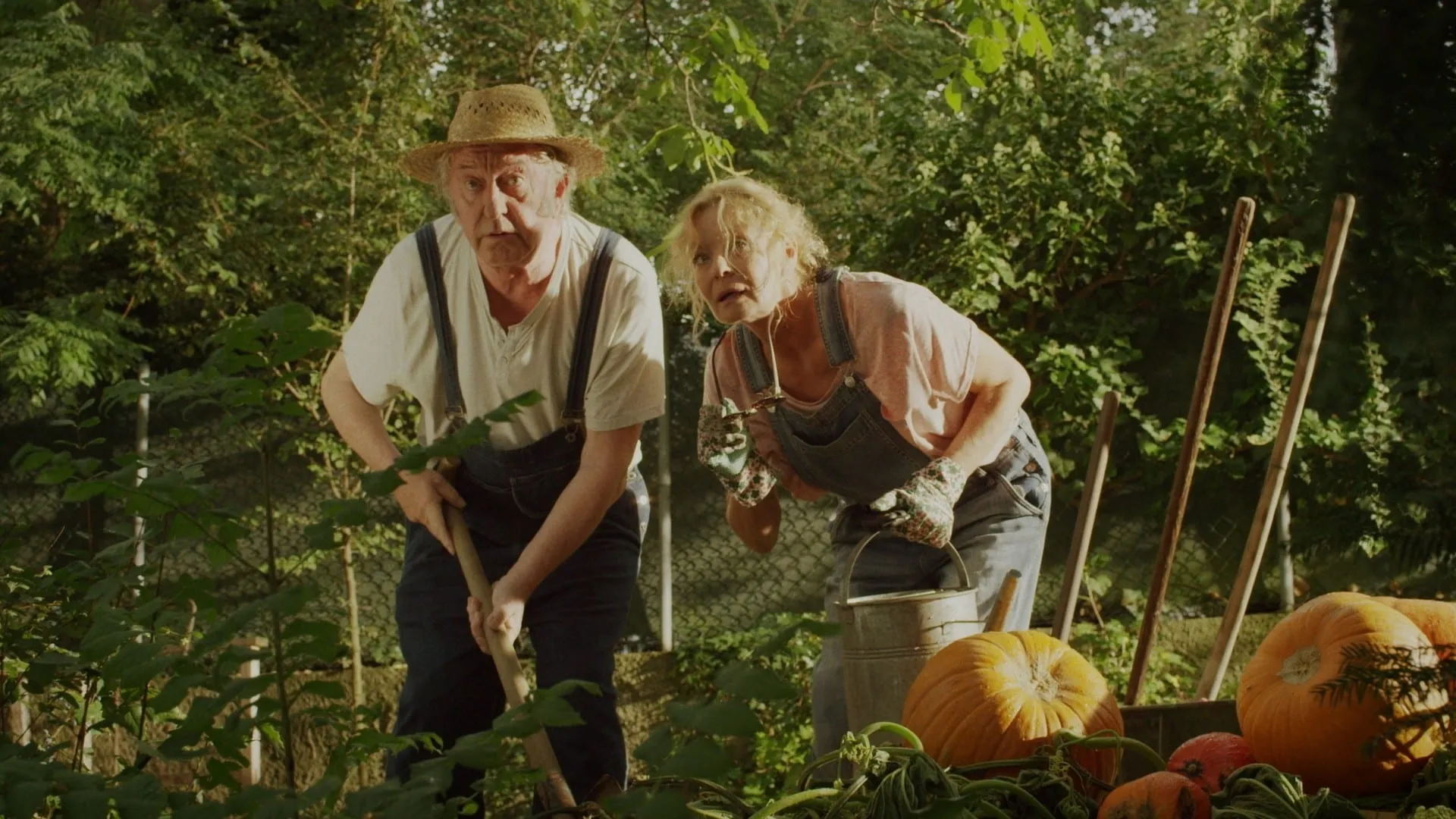 An older man in a straw hat and dungarees leans on a spade in a vegetable garden beside a woman, also in dungarees; both stare ahead in surprise